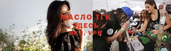 шишки Ельня