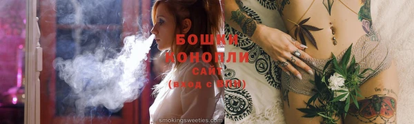 шишки Ельня