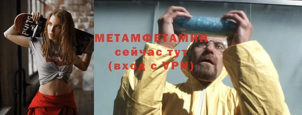 шишки Ельня