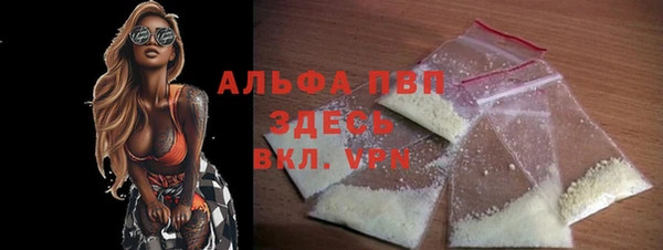 шишки Ельня