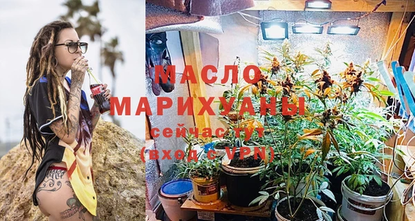 дживик Елабуга