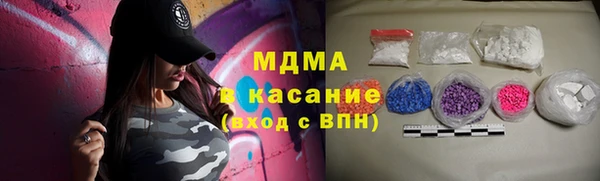 шишки Ельня