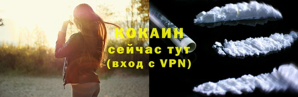 шишки Ельня