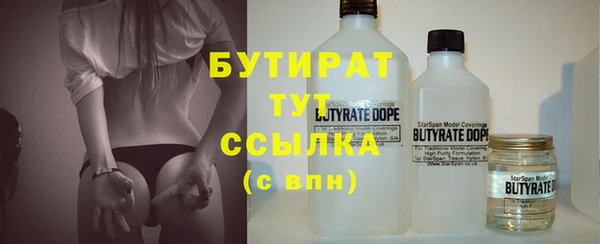 шишки Ельня