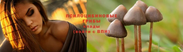 ALPHA-PVP Заволжье