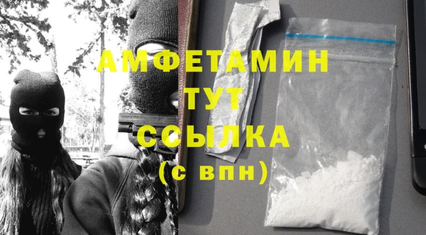 шишки Ельня