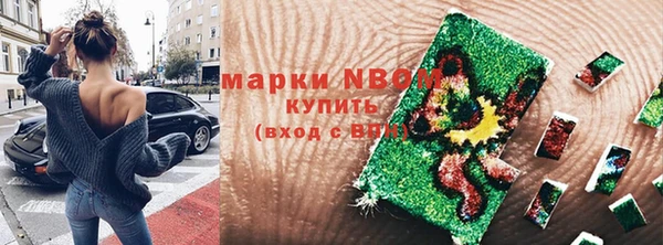 дживик Елабуга