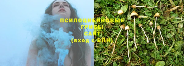 шишки Ельня