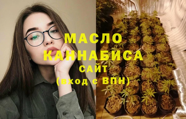 дживик Елабуга