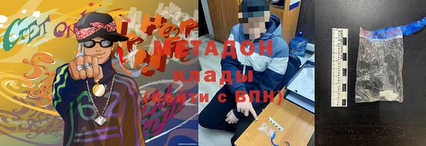 шишки Ельня