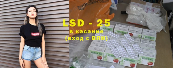 дживик Елабуга