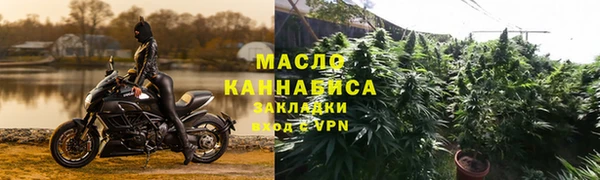 шишки Ельня