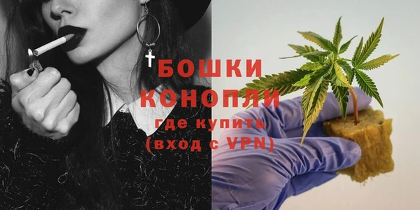 шишки Ельня