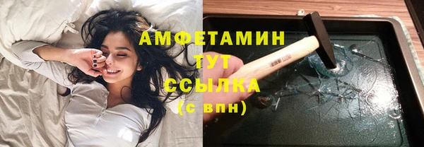 шишки Ельня