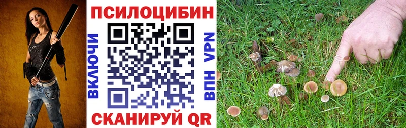 Галлюциногенные грибы Psilocybe  Купить где  Подпорожье 